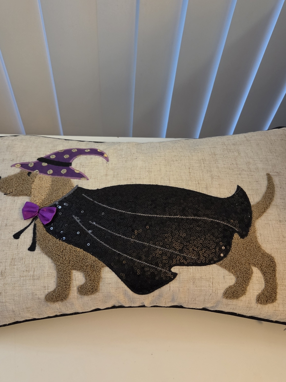 🆕️ Loving Kindness Dachshund Witch Halloween Pillow